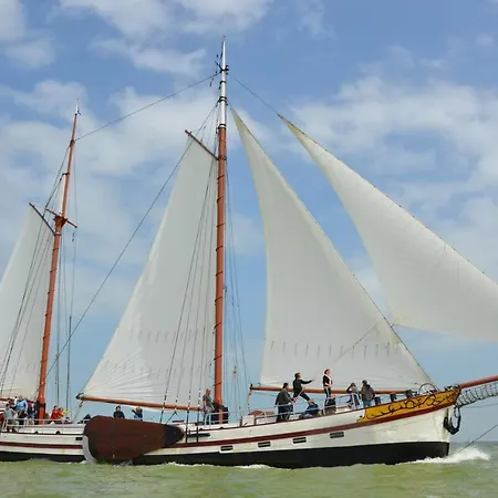 Sailyourway